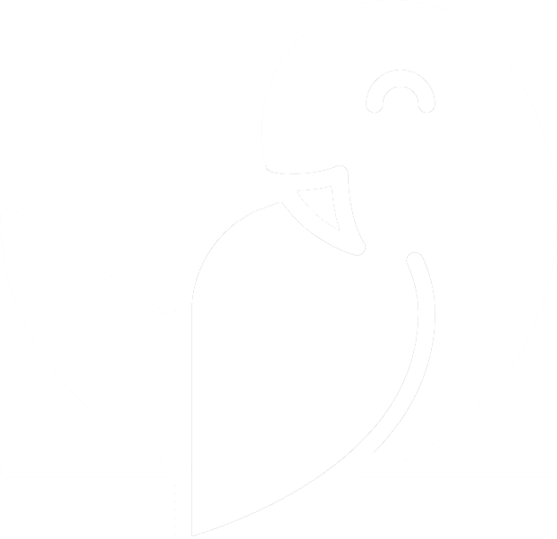 Bird White