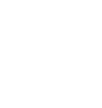 Stink Bug White